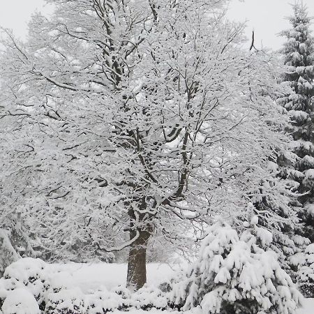 Chata U Lesa Výprachtice Dış mekan fotoğraf